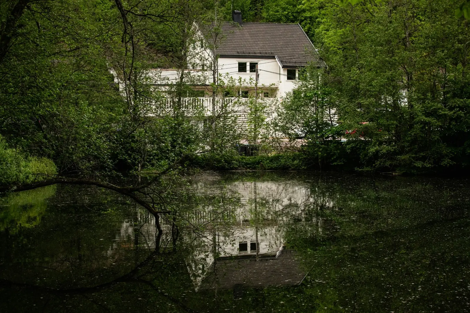 Fra eiendommen er det utsyn mot en andedam med et rikt dyreliv om sommeren.